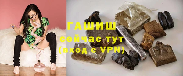 дживик Бородино