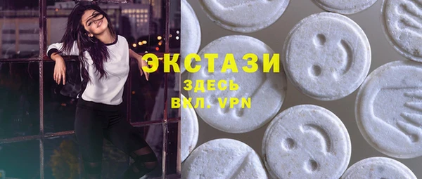 дживик Бородино
