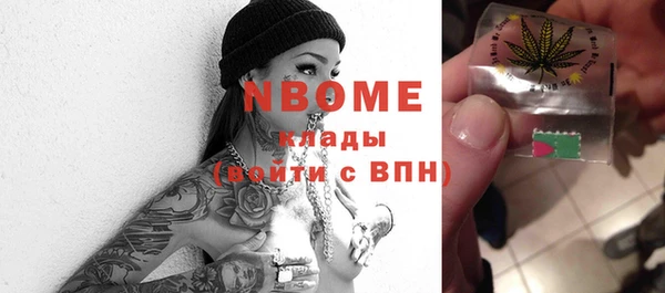 дживик Бородино