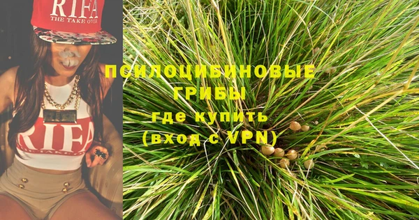 дживик Бородино