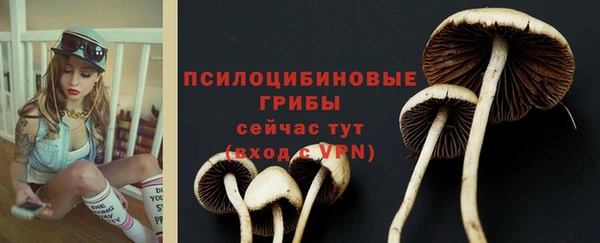 ПСИЛОЦИБИНОВЫЕ ГРИБЫ Бронницы