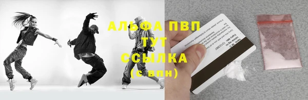 дживик Бородино