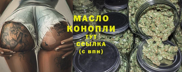 дживик Бородино
