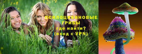 дживик Бородино