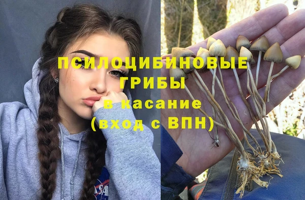 ПСИЛОЦИБИНОВЫЕ ГРИБЫ Бронницы