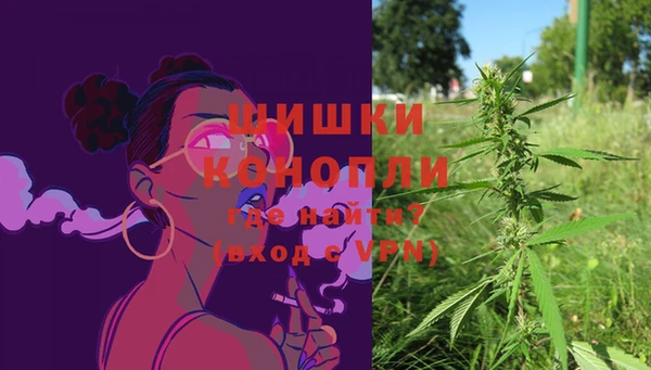 дживик Бородино