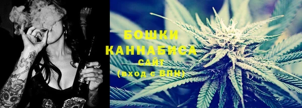 ПСИЛОЦИБИНОВЫЕ ГРИБЫ Бронницы