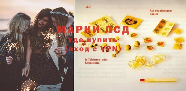 дживик Бородино