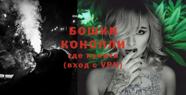 дживик Бородино